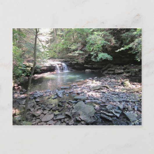 ベアシェバ春はがき ポストカード (正面)