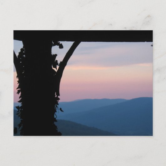 ベアシェバ春はがき ポストカード (正面)