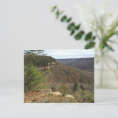 ベアシェバ春はがき ポストカード (スタンド正面)