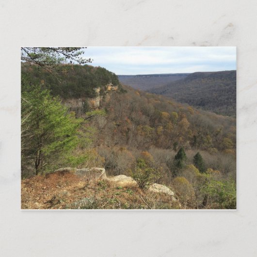 ベアシェバ春はがき ポストカード (正面)