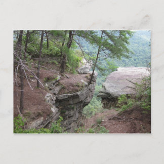 ベアシェバ春はがき ポストカード