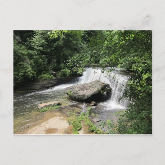 ベアシェバ春はがき ポストカード (正面)