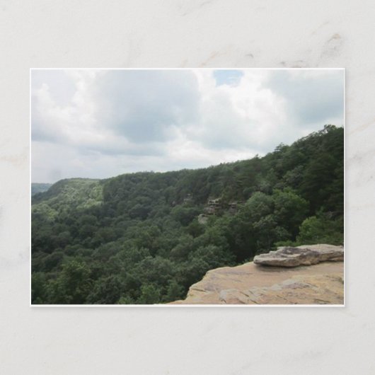 ベアシェバ春はがき ポストカード (正面)