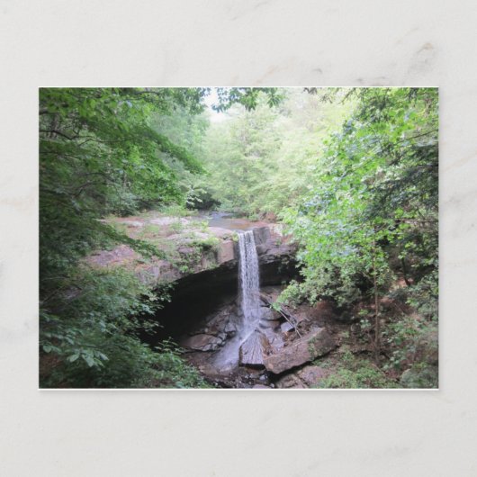 ベアシェバ春はがき ポストカード (正面)