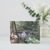 ベアシェバ春はがき ポストカード (スタンド正面)