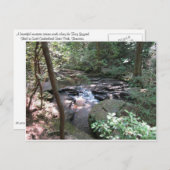 ベアシェバ春はがき ポストカード (正面/裏面)