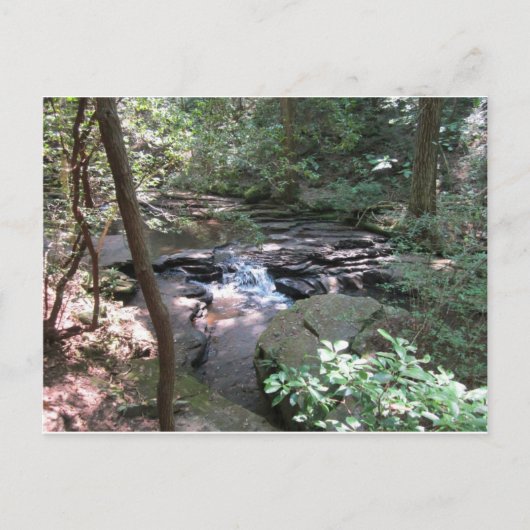 ベアシェバ春はがき ポストカード (正面)