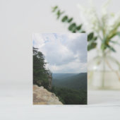 ベアシェバ春はがき ポストカード (スタンド正面)