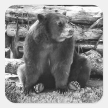 ベアステッカー