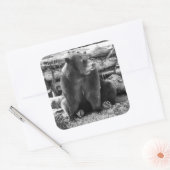 ベアステッカー スクエアシール (封筒)