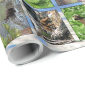 ベアズラッピング紙 ラッピングペーパー (ロールコーナー)