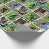 ベアズラッピング紙 ラッピングペーパー (角)