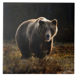 ベアセラミックタイル タイル