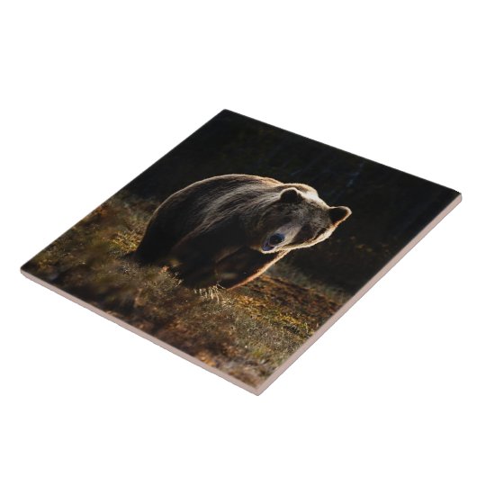 ベアセラミックタイル タイル (側面)