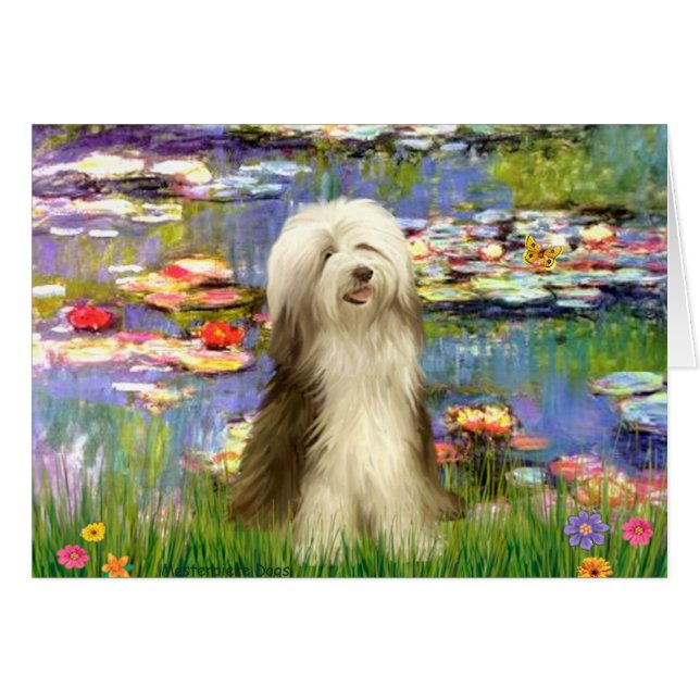 ベアディ16 – リリー2 (正面横)