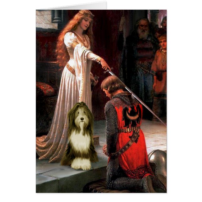 ベアディ9 – ザアコレード (正面)