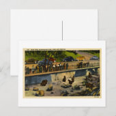 ベアデンスワシントンパークポートランドオレゴンヴィンテージ ポストカード (正面/裏面)