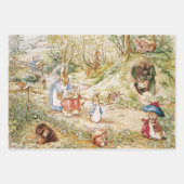 ベアトリクス・ポッターかわいいピーター・ザ・ラビットと友人 ラッピングペーパーシート (正面2)