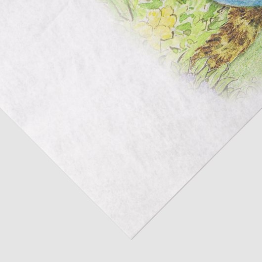 ベアトリクス・ポッターのブルースーツに登場したトム・キッテン 薄葉紙 (詳細)