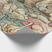 ベアトリクス・ポッターピーター・ラビットとベンジャミン・バニー ラッピングペーパー (角)