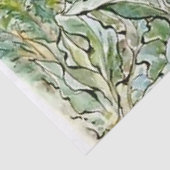 ベアトリックスPによる「ベンジャミンバニー時計農家ブラウン」 薄葉紙 (詳細)