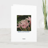 ベアドセリヴィンテージピーコックメモカード カード (裏面)