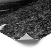 ベアバック女子： 1904 ポスター (角)