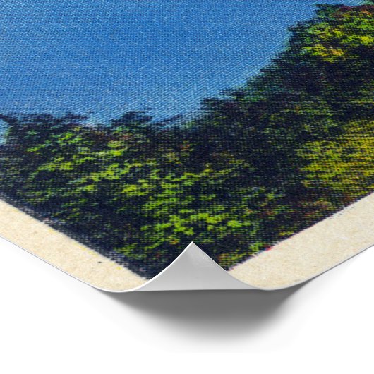 ベアヒルビューオブカナンダガイグアレイク ポスター (角)