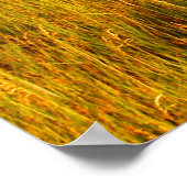 ベアビュッテ州パークサウスダコタ ポスター (角)