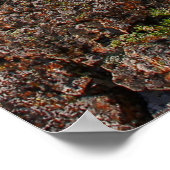 ベアビュッテ州パークサウスダコタ ポスター (角)