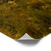 ベアビュッテ州パークサウスダコタ ポスター (角)