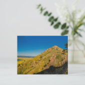 ベアビュッテ州パークサウスダコタ ポストカード (スタンド正面)