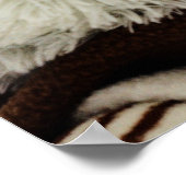 ベアプリント ポスター (角)