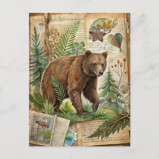 ベアボタニカルヴィンテージアンティークウッドランド自然 ポストカード (正面)