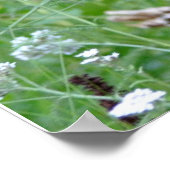 ベアポスター ポスター (角)