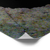 ベアポープリントポスター ポスター (角)