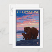 ベアーアンドクブ – イエローストーン国立公園 ポストカード (正面/裏面)