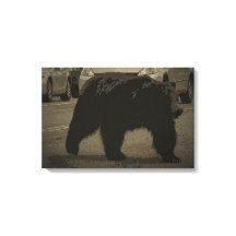 ベアーインザロードイエローストーン国立公園WY