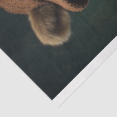 ベアーイン紳士服着2デコパージュ紙 薄葉紙 (詳細)