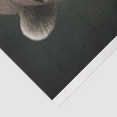 ベアーイン紳士服着3デコパージュ紙 薄葉紙 (詳細)