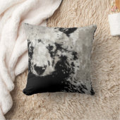 ベアーカブ クッション (ブランケット)