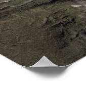 ベアーグレイシャーアラスカ ポスター (角)