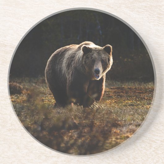 ベアーコースター コースター (正面)