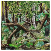 ベアーズの遊び場 ファブリック (クローズアップ)