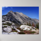 ベアーズハンプI ポスター (正面)