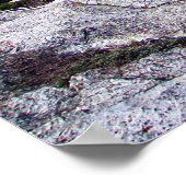 ベアーズハンプI ポスター (角)