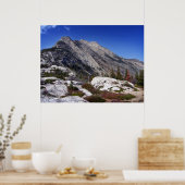 ベアーズハンプI ポスター (キッチン)