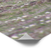 ベアーズ三枚写真 ポスター (角)