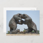 ベアーズ – ミシガン州ダンディー ポストカード (正面/裏面)