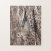 ベアードズサンドパイパーオンビーチ ジグソーパズル (縦)